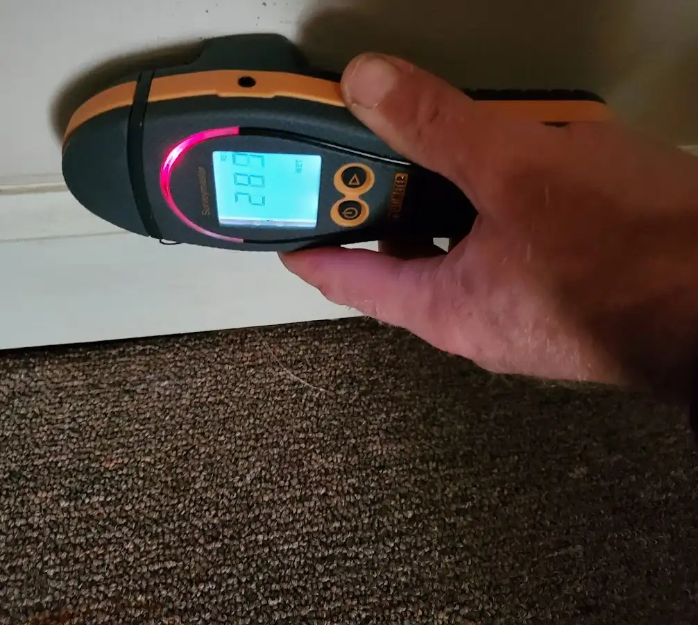 Moisture detection at baseboard during Sewage Cleanup & Sanitation in Lower Swatara